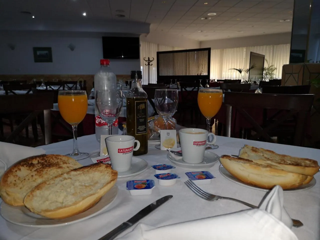 Hotel Santa Ana La Carlota